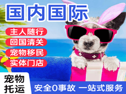 长治王村航空快运国际宠物托运 【国